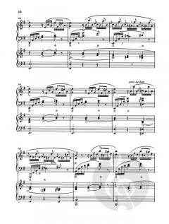 Klavierkonzert Nr. 1 e-Moll Op. 11 von Frédéric Chopin im Alle Noten Shop kaufen - HN419