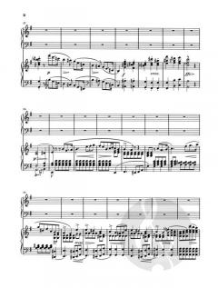 Klavierkonzert Nr. 1 e-Moll Op. 11 von Frédéric Chopin im Alle Noten Shop kaufen - HN419