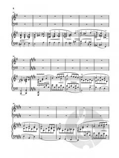 Klavierkonzert Nr. 1 e-Moll Op. 11 von Frédéric Chopin im Alle Noten Shop kaufen - HN419