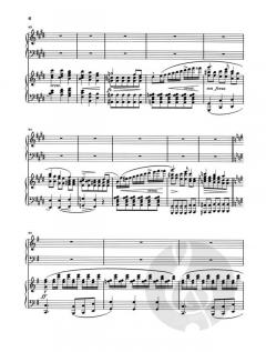 Klavierkonzert Nr. 1 e-Moll Op. 11 von Frédéric Chopin im Alle Noten Shop kaufen - HN419