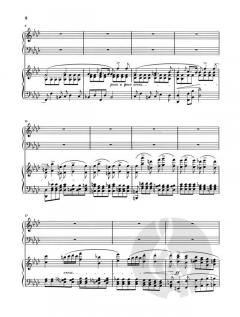 Konzert für Klavier und Orchester Nr. 2 f-moll op. 21 von Frédéric Chopin im Alle Noten Shop kaufen