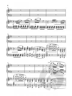 Konzert für Klavier und Orchester Nr. 2 f-moll op. 21 von Frédéric Chopin im Alle Noten Shop kaufen