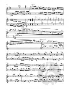 Kadenzen zu Klavierkonzerten von Ludwig van Beethoven im Alle Noten Shop kaufen