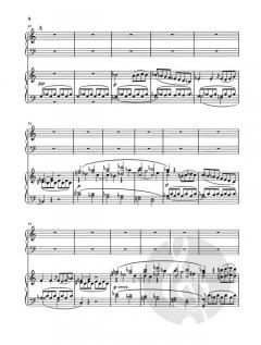 Konzert Nr. 1 C-Dur op. 15 von Ludwig van Beethoven für Klavier und Orchester im Alle Noten Shop kaufen