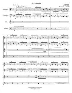 Ave Maria (Franz Schubert) 