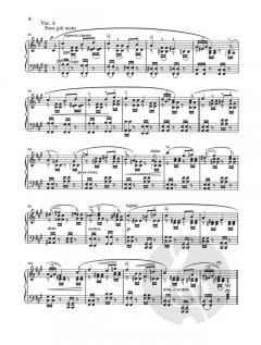 Schumann-Variationen op. 9 von Johannes Brahms 