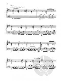 Variationen für Klavier von Johannes Brahms im Alle Noten Shop kaufen