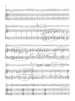 Poème op. 25 von Ernest Chausson für Violine und Orchester im Alle Noten Shop kaufen