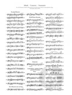 Sämtliche Tänze 1 von Franz Schubert 