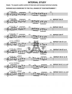 The Jazz Improvisor's Reference von Jerry Coker 