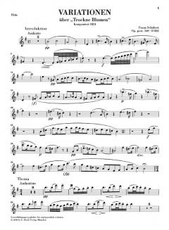 Variationen über 'Trockne Blumen' von Franz Schubert 
