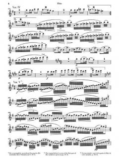 Variationen über 'Trockne Blumen' von Franz Schubert 