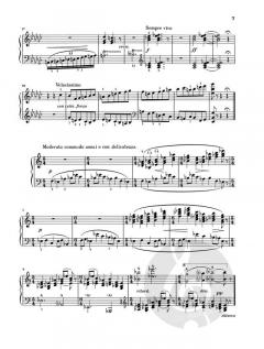 Bilder einer Ausstellung von Modest Petrowitsch Mussorgski 