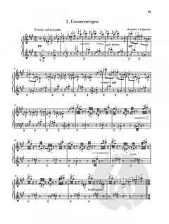 2 Konzertetüden von Franz Liszt 