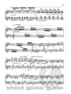 2 Konzertetüden von Franz Liszt 