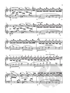 2 Konzertetüden von Franz Liszt 