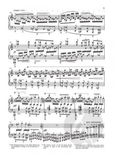 2 Konzertetüden von Franz Liszt 