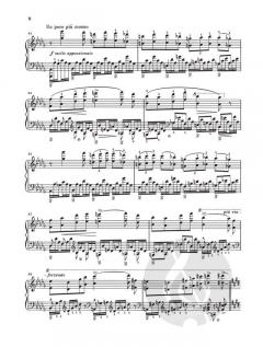 2 Konzertetüden von Franz Liszt 