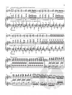 2 Konzertetüden von Franz Liszt 