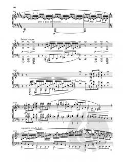 Allegro h-moll op. 8 von Robert Schumann 