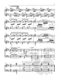 Poetische Stimmungsbilder op. 85 von Antonín Dvorák 