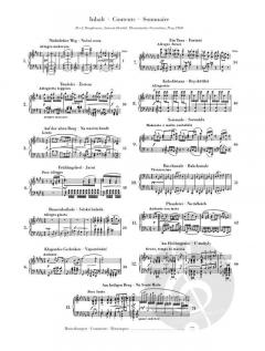 Poetische Stimmungsbilder op. 85 von Antonín Dvorák 