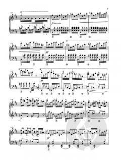 Poetische Stimmungsbilder op. 85 von Antonín Dvorák 