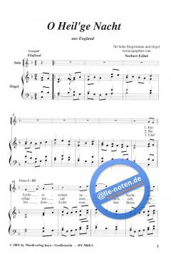 Hohe Nacht von Norbert Feibel 