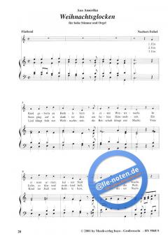 Hohe Nacht von Norbert Feibel 