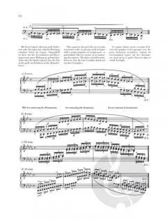 Paganini-Etüden op. 3 und op. 10 von Robert Schumann 