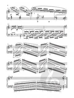 Paganini-Etüden op. 3 und op. 10 von Robert Schumann 