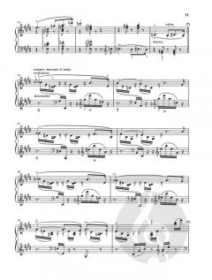 Liebesträume von Franz Liszt 