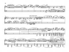 Suite für Orgel e-moll op. 16 von Max Reger 