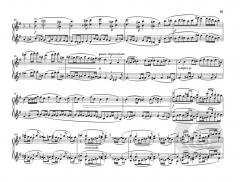 Suite für Orgel e-moll op. 16 von Max Reger 