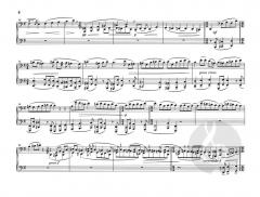 Suite für Orgel e-moll op. 16 von Max Reger 