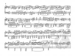 Suite für Orgel e-moll op. 16 von Max Reger 