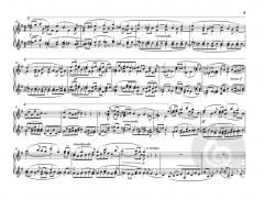 Suite für Orgel e-moll op. 16 von Max Reger 