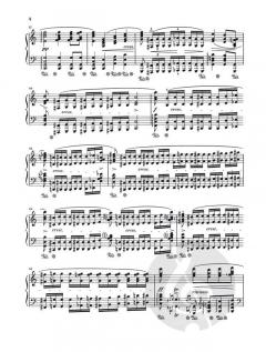 Nocturne c-Moll op. 48/1 von Frédéric Chopin 