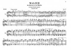 Walzer op. 39 von Johannes Brahms für Klavier zu 4 Händen im Alle Noten Shop kaufen - HN67