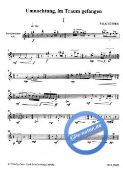 Umnachtung, im Traum gefangen für Bassklarinette von Falk Hübner 