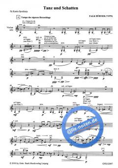 Tanz und Schatten von Falk Hübner 