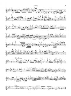 Einzelsätze für Violine und Orchester von Wolfgang Amadeus Mozart im Alle Noten Shop kaufen