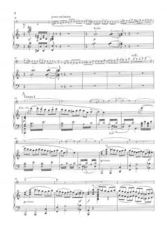 Konzert für Violoncello und Orchester Nr. 1 a-moll op. 33 von Camille Saint-Saëns im Alle Noten Shop kaufen