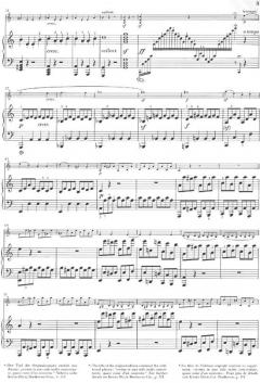 Sonate A-dur op. 47 von Ludwig van Beethoven 