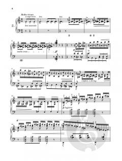 Études d'exécution transcendante von Franz Liszt 