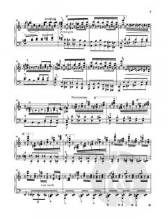 Études d'exécution transcendante von Franz Liszt 