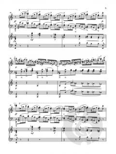 Klavierkonzert a-moll op. 16 von Edvard Grieg im Alle Noten Shop kaufen