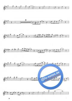 The Beatles Playalong von Paul Honey 