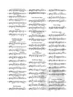 Sämtliche Tänze 2 von Franz Schubert 