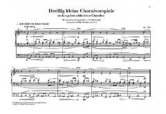 30 kleine Choralvorspiele op. 135a von Max Reger 